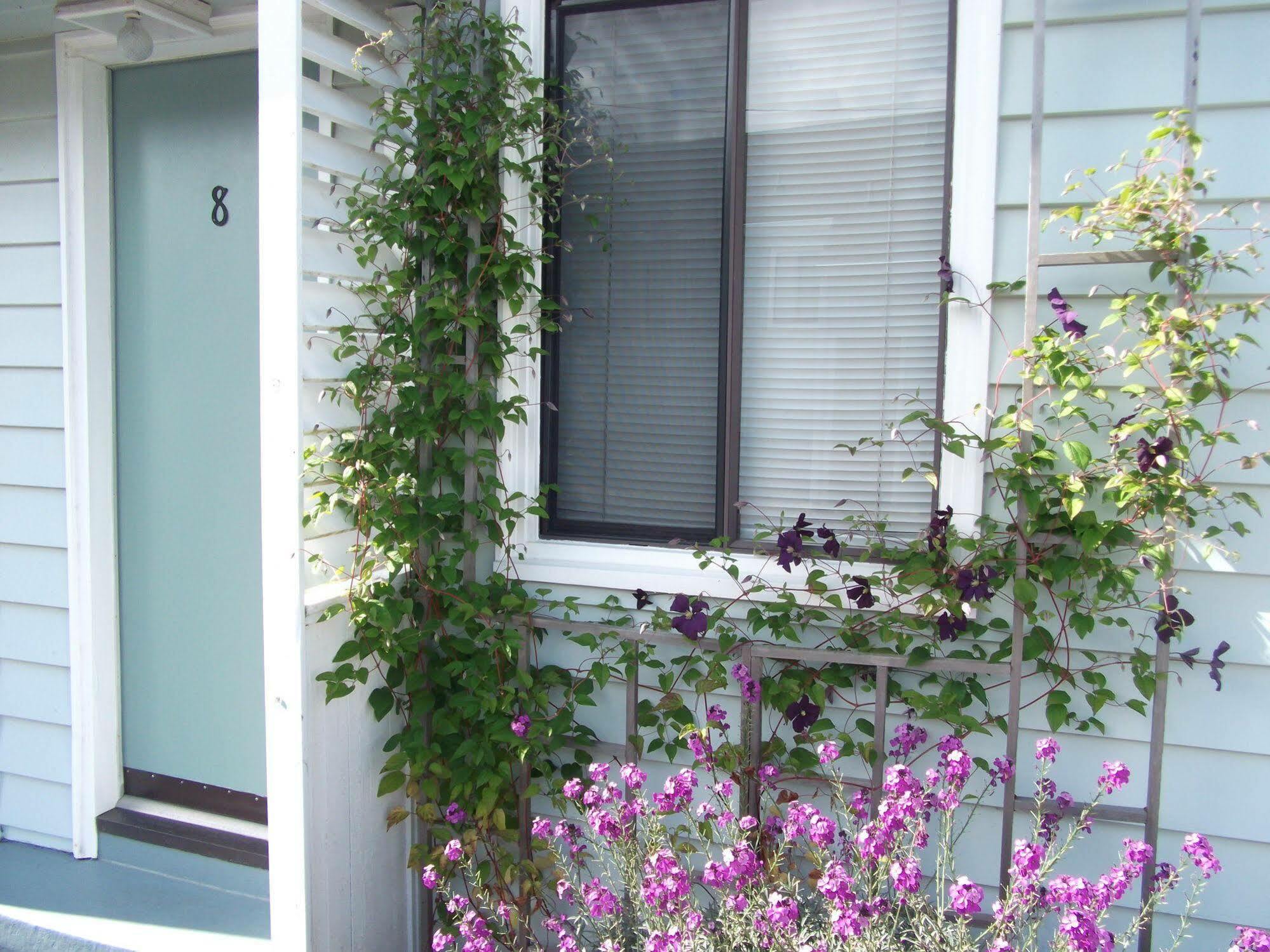 Beachside Inn Seaside Exterior foto